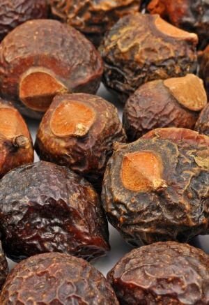 Soap Nuts (Reetha) Powder