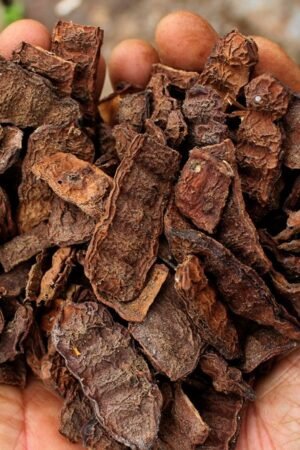 Fruit for Hair (Shikakai) Powder