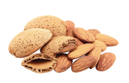 almond-png-32815