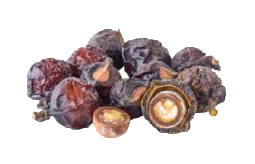 png-transparent-peppermint-mentha-spicata-herb-mint-leaf-mints-mint-candy-food-leaf-herbal (10)