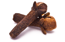 png-transparent-peppermint-mentha-spicata-herb-mint-leaf-mints-mint-candy-food-leaf-herbal (3)