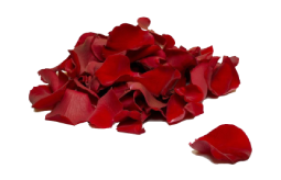 png-transparent-peppermint-mentha-spicata-herb-mint-leaf-mints-mint-candy-food-leaf-herbal (5)