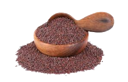 png-transparent-peppermint-mentha-spicata-herb-mint-leaf-mints-mint-candy-food-leaf-herbal (9)